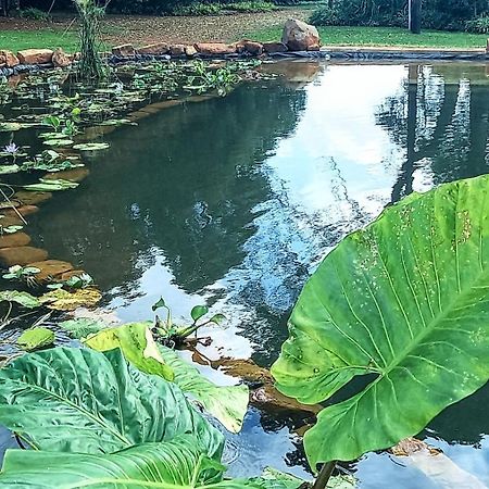 Deo Resta Guest Lodge Piet Retief ภายนอก รูปภาพ