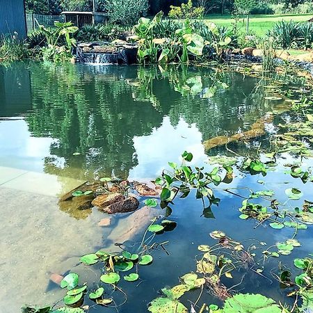 Deo Resta Guest Lodge Piet Retief ภายนอก รูปภาพ