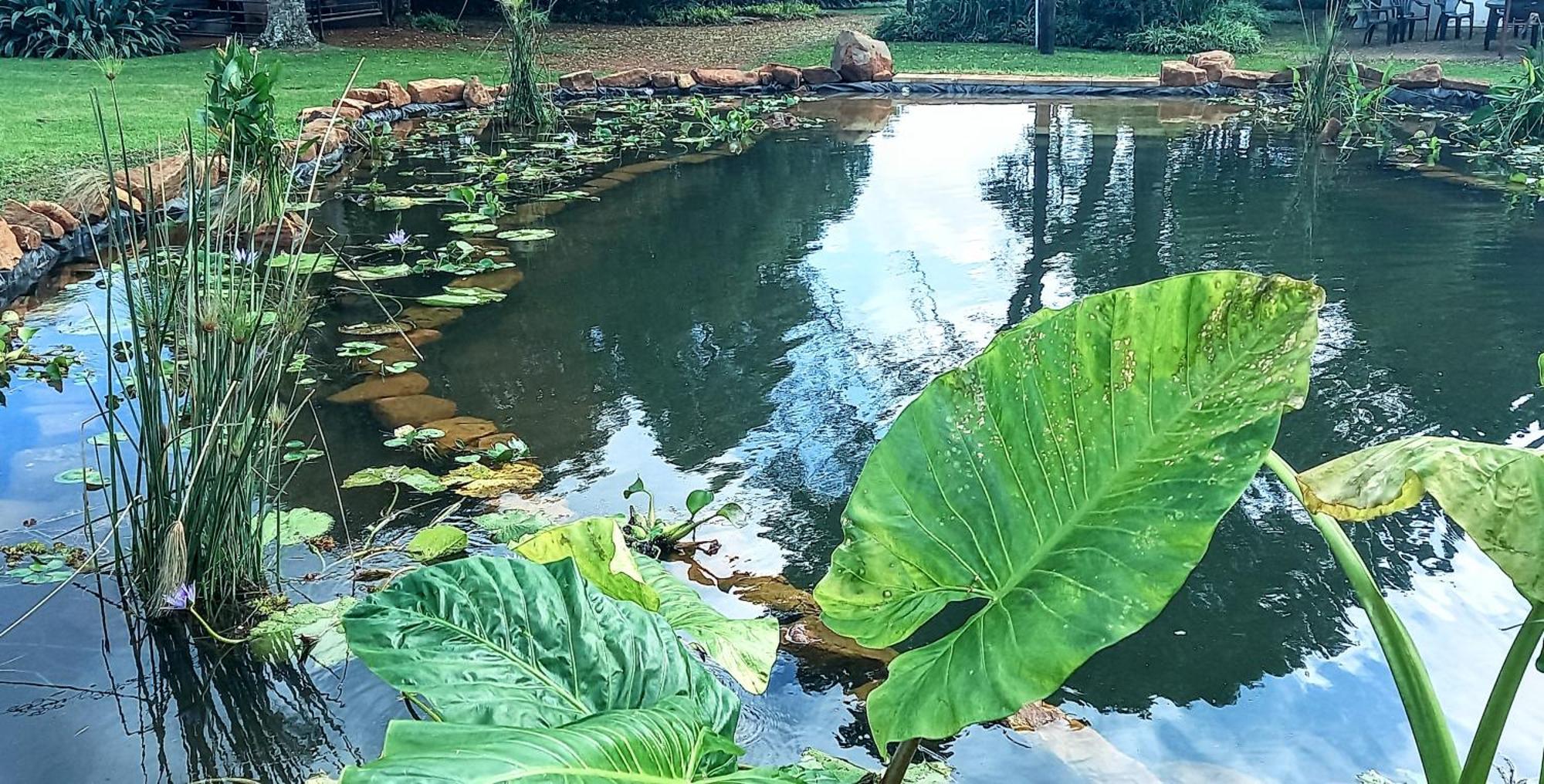Deo Resta Guest Lodge Piet Retief ภายนอก รูปภาพ